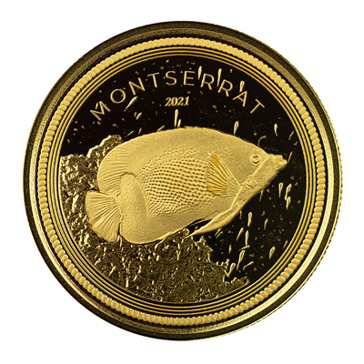 A picture of a EC8 Montserrat Blue Girdled Angelfish 1 oz Gold Coin (2021)